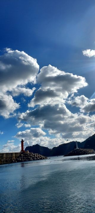 안재성님의 자유주제 · 사진전 작성글 사진