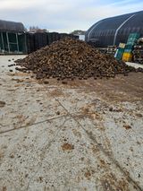 팜모닝 자유주제·자유게시판 게시글 이미지