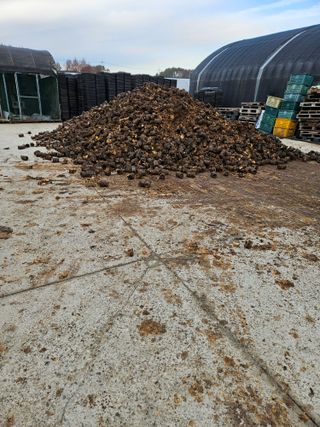 최석윤님의 자유주제 · 자유게시판 작성글 사진