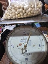 팜모닝 12월 작물 자랑하기·참여글 게시글 이미지