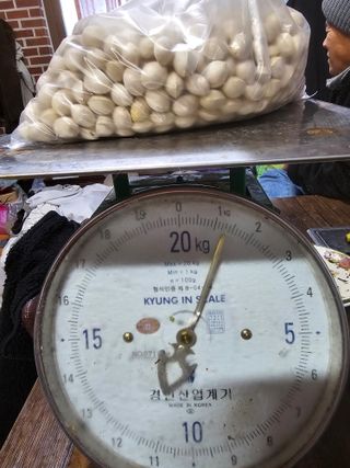 박화자님의 12월 작물 자랑하기 · 참여글 작성글 사진