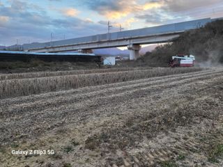 김귀태님의 12월 작물 자랑하기 · 참여글 작성글 사진