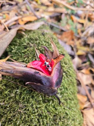 김대기님의 자유주제 · 자유게시판 작성글 사진