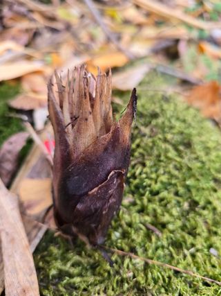 김대기님의 자유주제 · 자유게시판 작성글 사진