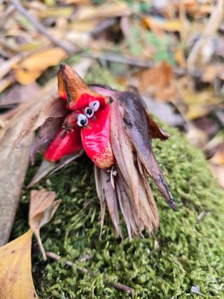 김대기님의 자유주제 · 자유게시판 작성글 사진