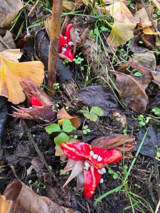 김대기님의 자유주제 · 자유게시판 작성글 사진