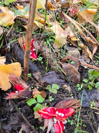 김대기님의 자유주제 · 자유게시판 작성글 사진