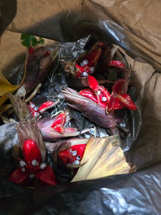 김대기님의 자유주제 · 자유게시판 작성글 사진