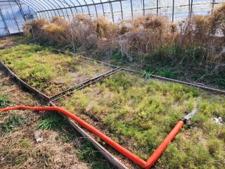 이창신님의 자유주제 · 자유게시판 작성글 사진