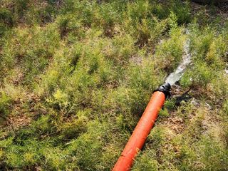 이창신님의 자유주제 · 자유게시판 작성글 사진