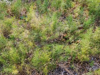 이창신님의 자유주제 · 자유게시판 작성글 사진