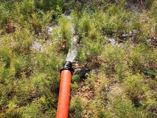 이창신님의 자유주제 · 자유게시판 작성글 사진