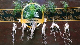 이창신님의 자유주제 · 자유게시판 작성글 사진