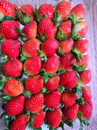 강미향님의 작성글 사진