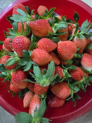 강미향님의 작성글 사진