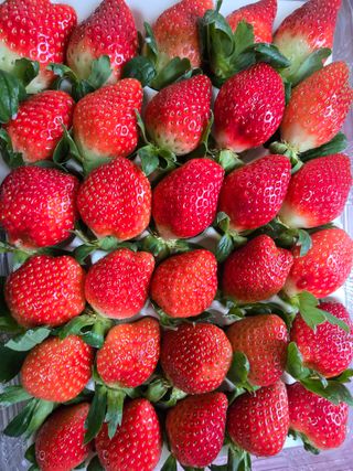 강미향님의 작성글 사진