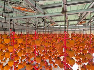 성범현님의 기타작물 · 영농일지 작성글 사진