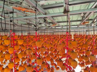 성범현님의 기타작물 · 영농일지 작성글 사진