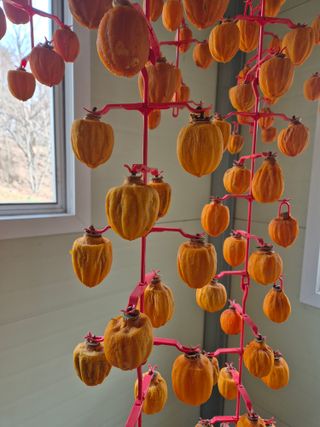 성범현님의 기타작물 · 영농일지 작성글 사진