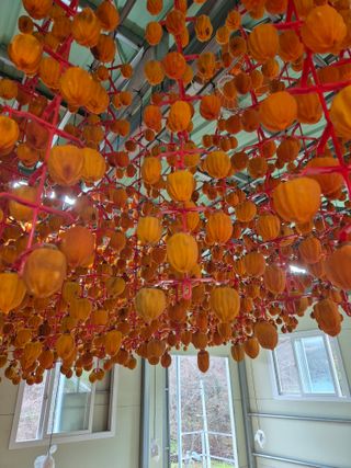 성범현님의 기타작물 · 영농일지 작성글 사진