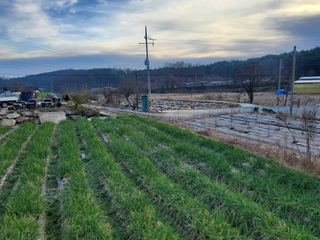 전홍열님의 자유주제 · 자유게시판 작성글 사진