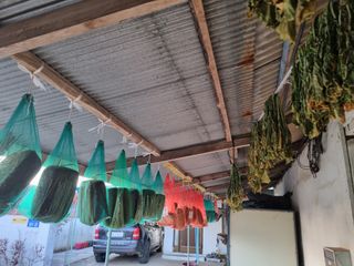 동글이선님의 자유주제 · 자유게시판 작성글 사진