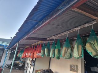 동글이선님의 자유주제 · 자유게시판 작성글 사진