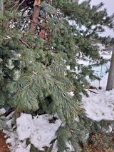 팜모닝 12월 작물 자랑하기·참여글 게시글 이미지