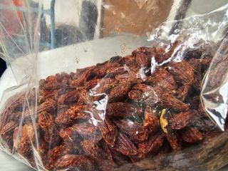 왕개미님의 자유주제 · 자유게시판 작성글 사진