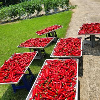 서녕영더기님의 작성글 사진