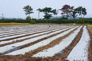 누보농장님의 자유주제 · 자유게시판 작성글 사진