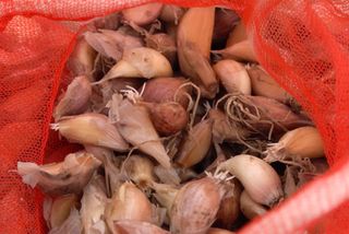 누보농장님의 자유주제 · 자유게시판 작성글 사진