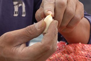 누보농장님의 자유주제 · 자유게시판 작성글 사진