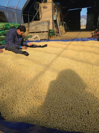 신경여님의 콩 · 영농일지 작성글 사진