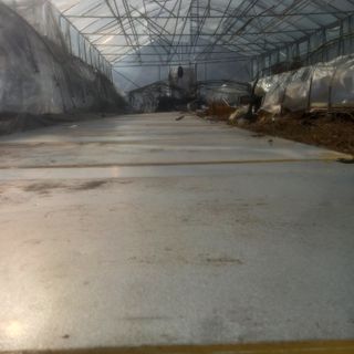 알 수 없음님의 기타작물 · 영농일지 작성글 사진