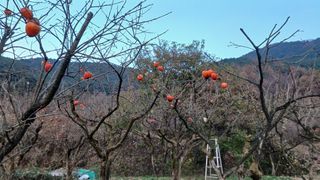산골촌부님의 자유주제 · 자유게시판 작성글 사진