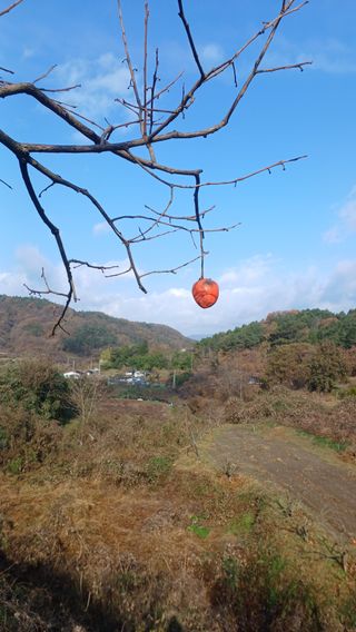 산골촌부님의 자유주제 · 자유게시판 작성글 사진