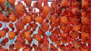 산골촌부님의 자유주제 · 자유게시판 작성글 사진