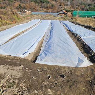 김해열님의 12월 작물 자랑하기 · 참여글 작성글 사진