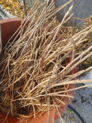 무료지식나눔 팜닥터님의 자유주제 · 자유게시판 작성글 사진