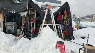 호피랑 농부랑님의 기타작물 · 영농일지 작성글 사진