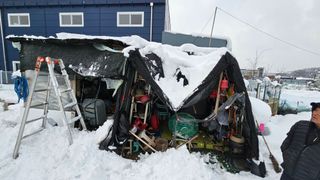 호피랑 농부랑님의 기타작물 · 영농일지 작성글 사진