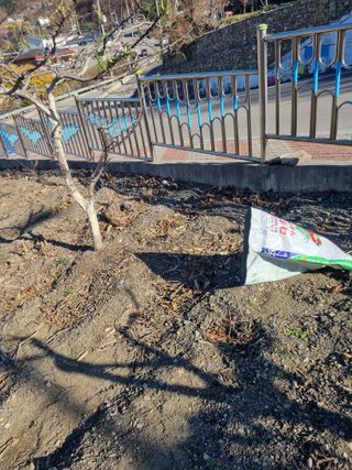 김용대님의 자유주제 · 자유게시판 작성글 사진