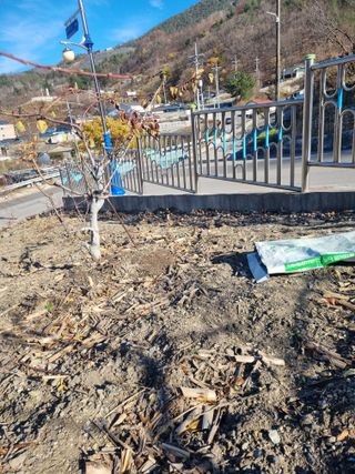 김용대님의 자유주제 · 자유게시판 작성글 사진