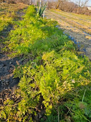 배성은365님의 자유주제 · 자유게시판 작성글 사진