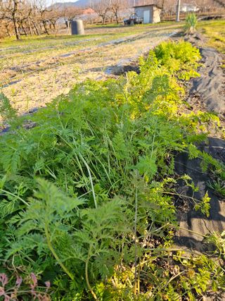 배성은365님의 자유주제 · 자유게시판 작성글 사진