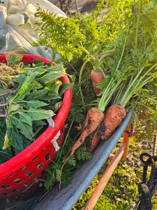 배성은365님의 자유주제 · 자유게시판 작성글 사진