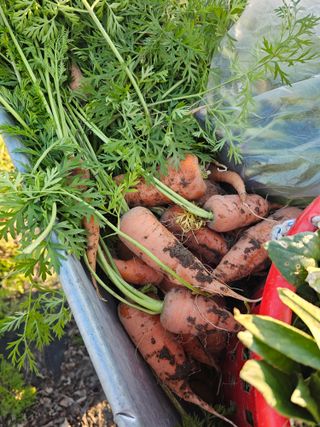 배성은365님의 자유주제 · 자유게시판 작성글 사진