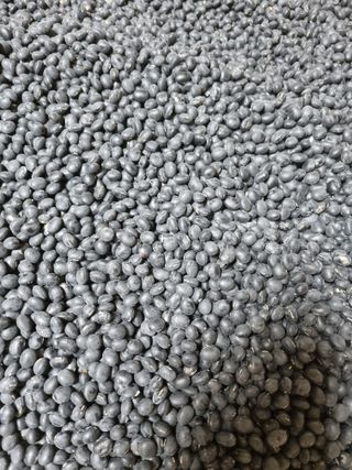 청주 박정희님의 자유주제 · 자유게시판 작성글 사진