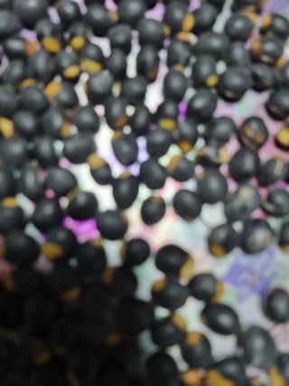 청주 박정희님의 자유주제 · 자유게시판 작성글 사진